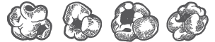 POPCORN ICONS